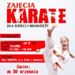 Biblioteka i Ośrodek Animacji Kultury Gminy Budzów zaprasza na zajęcia karate dla dzieci i młodzieży. Treningi: grupa wiekowa od 8 lat. każdy godzina 17:00 – 18:00. Miejsce: Hala sportowa przy BiOAK w Budzowie. Zapisy do 30 września. Zapisy pod numerem: 787 590 492 oraz 887505053 lub mailowo: bibpalcza@interia.p