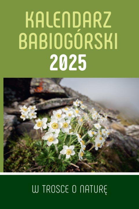 Kalendarz Babiogórski na rok 2025